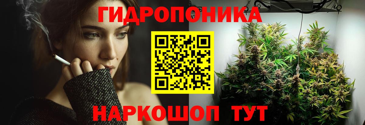 Бошки Шишки Bruce Banner  Бошки марихуана семена  Вход с VPN  Марихуана AK-47  Брянск 